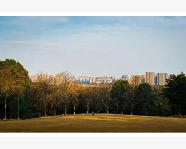 汽配B2B赛道如何打破传统困局_汽配B2B赛道如何打破传统困局