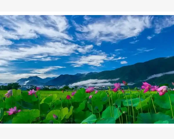 B2B方案如何助力企业构建高效供应链_B2B方案如何助力企业构建高效供应链