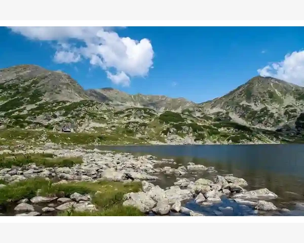 MT4模拟账户初始资金设定后能否更改