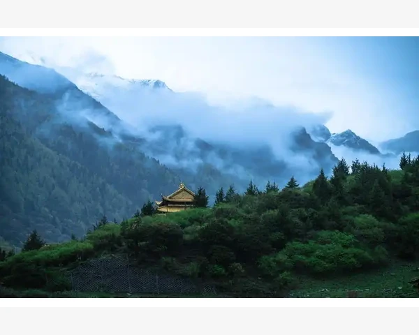Wish分销模式不是B2B业务_买家沟通与询盘转化策略