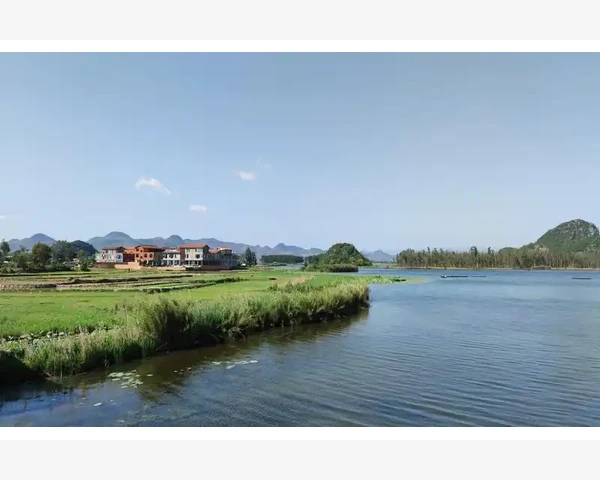 MT4报价窗口按涨跌幅排序操作详解