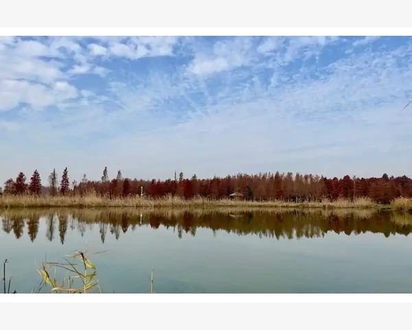 MT4电脑版运行卡顿的常见原因与有效解决办法