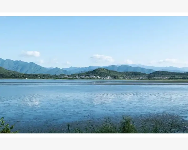 发网B2B平台企业采购新玩法_发网B2B平台企业采购新玩法
