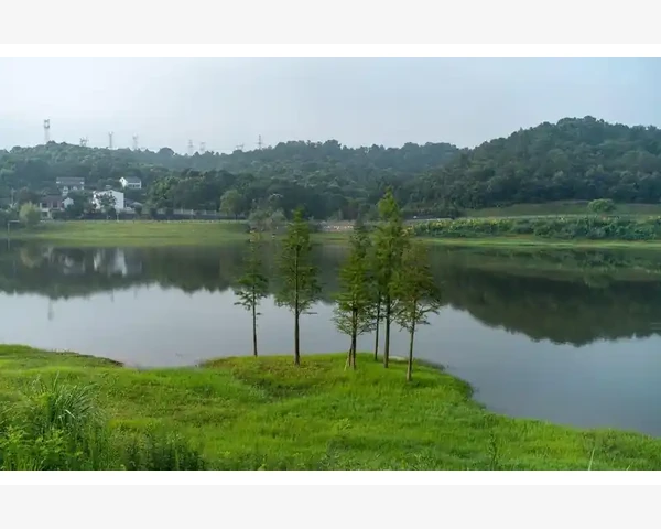 MT4均线参数这样调才贴合你的交易节奏