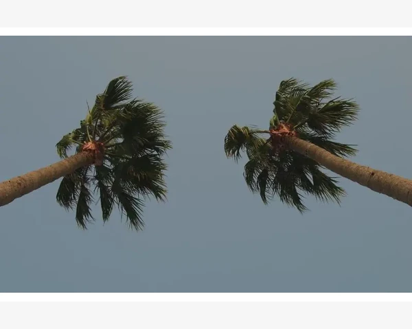 粘接角质量检测与缺陷处理_高精度智能甲醛传感器核心功能与使用要点