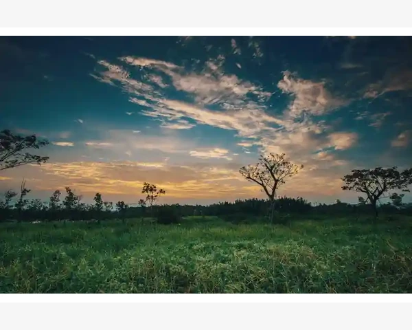 企业网银B2B支付实操全流程详解_企业网银B2B支付实操全流程详解