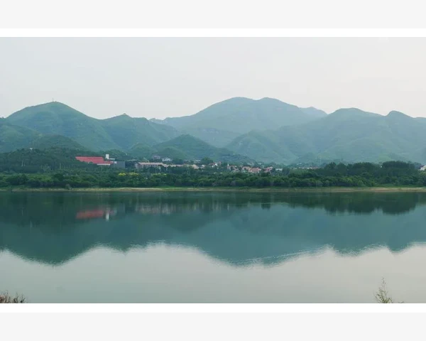 MT4指标闪烁重绘让图表信号频繁变动的真相