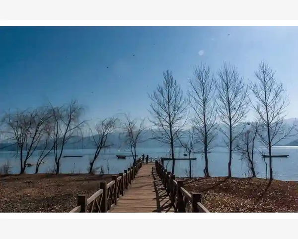 MT4布林带价格触轨手机推送提醒设置教程_查看EA日志文件定位历史运行记录