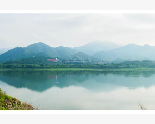 B2B交易规模增长趋势与行业影响分析_衬里厚度与隔热性能的平衡艺术