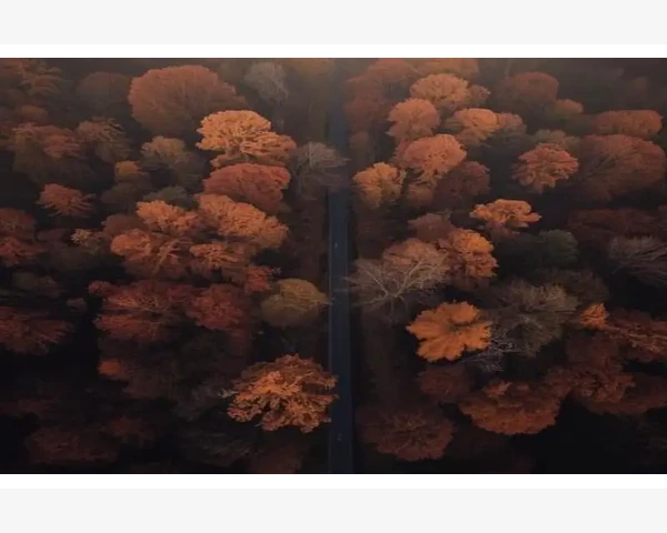 阿里巴巴B2B退市背后商业逻辑解读_运营金属店铺得学会差异化
